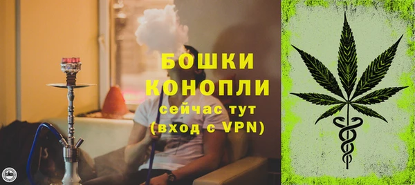 apvp Арсеньев