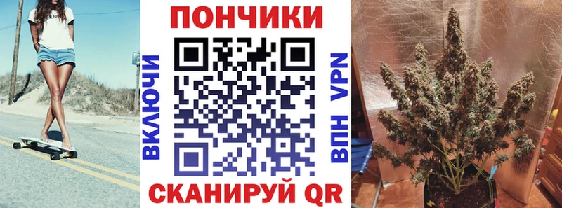 Конопля гибрид  Минеральные Воды 